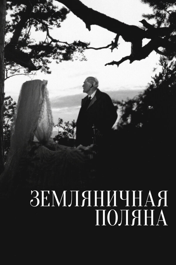 Земляничная поляна постер - смотреть онлайн